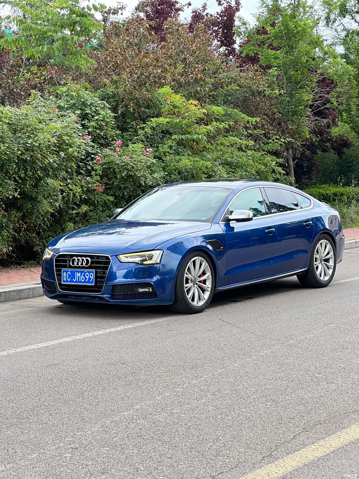 Audi S5, 2012 1
