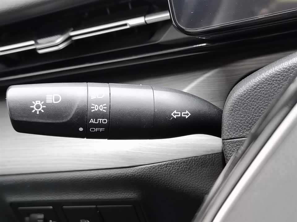 Wuling Wuling Starlight