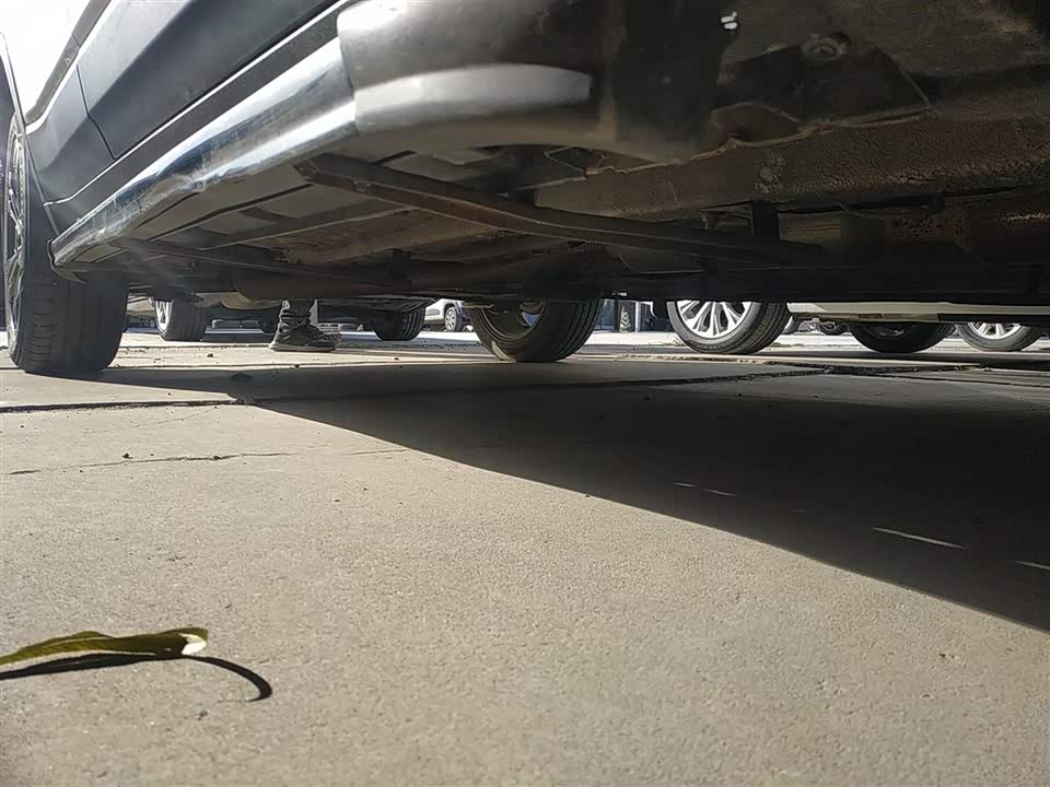 Leopaard Cheetah CS9