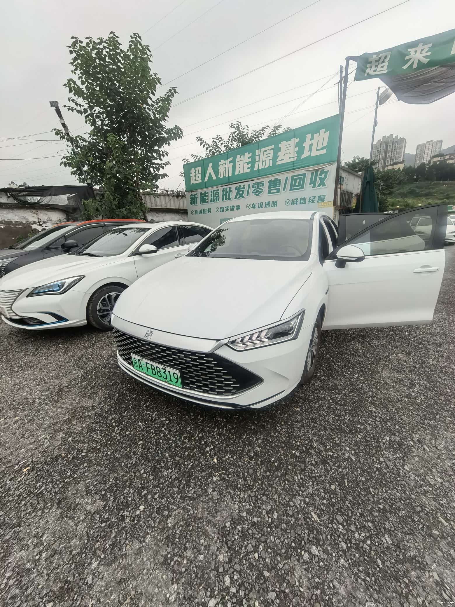 BYD Qin, 2024 3
