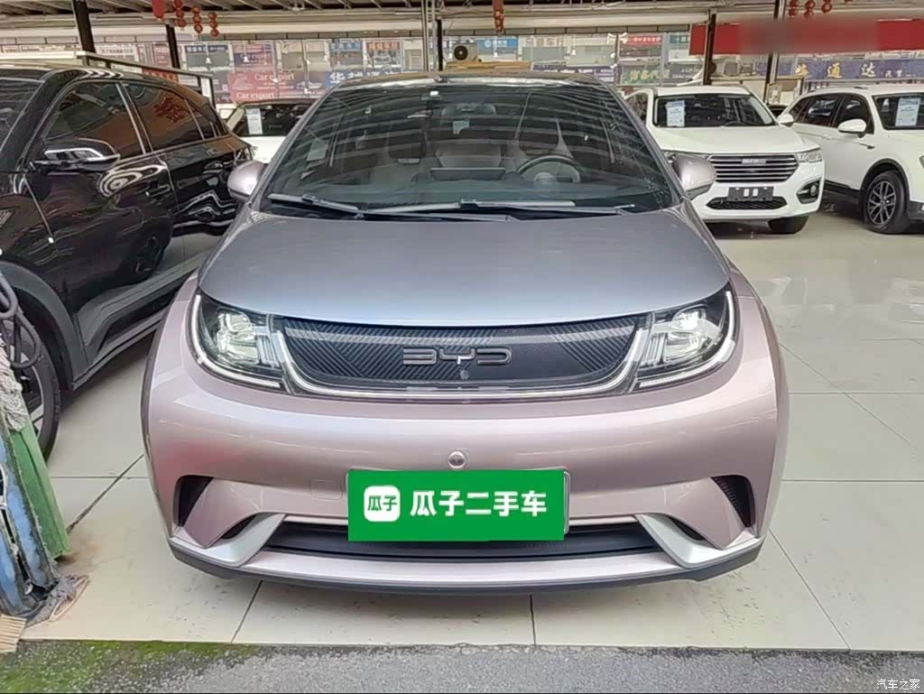 BYD Dolphin, 2022 3