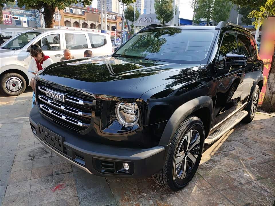 Haval Big dog