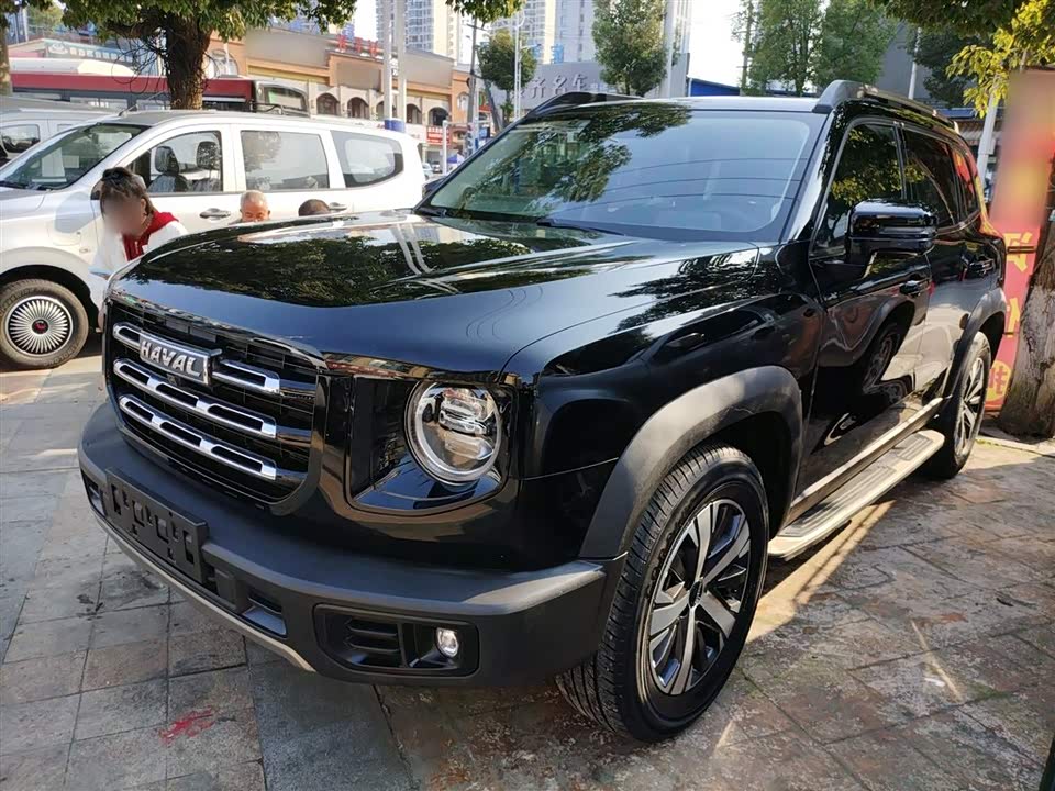 Haval Big dog