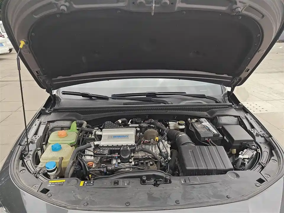 Trumpchi Shadow Leopard