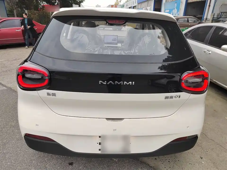 Dongfeng Nammi Nano 01