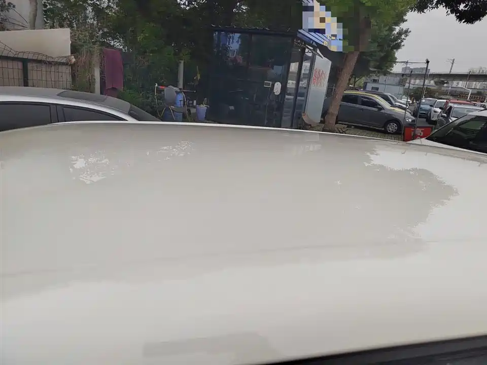 Dongfeng Nammi Nano 01