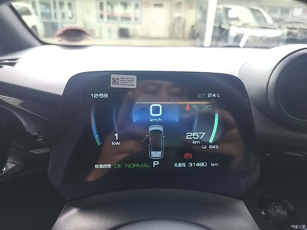BYD Dolphin, 2023 12