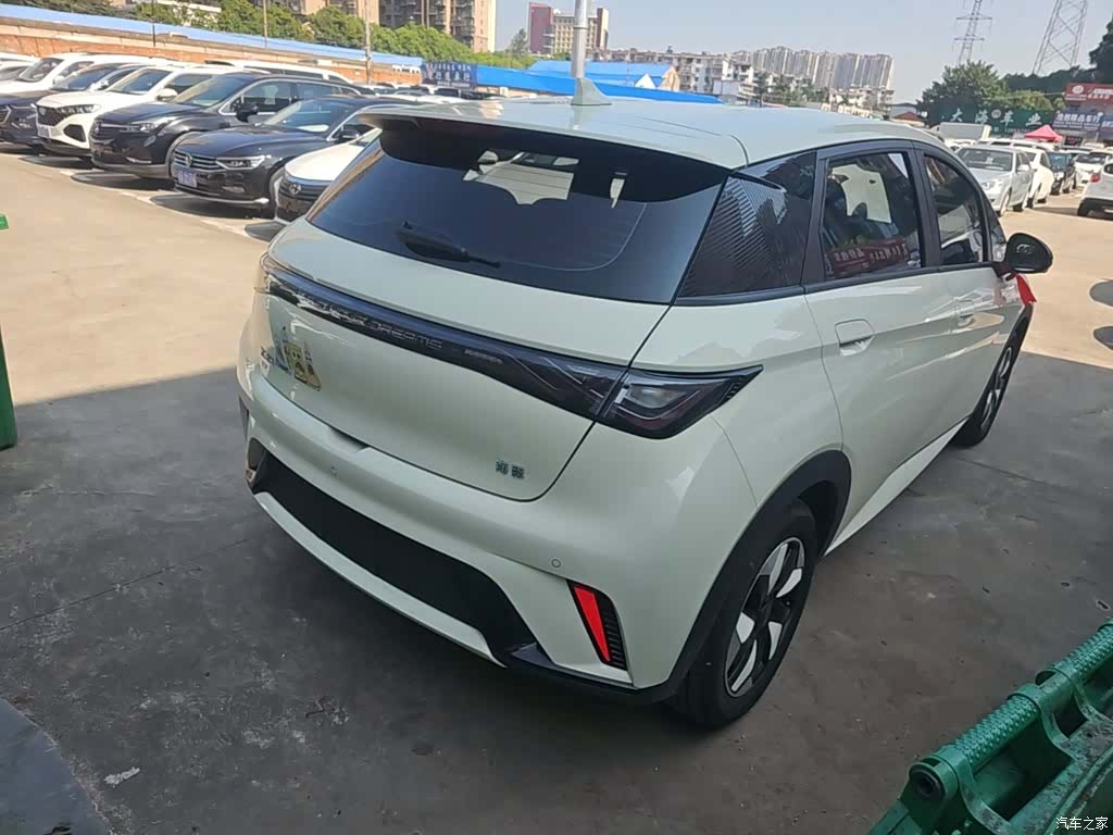 BYD Dolphin, 2025 7