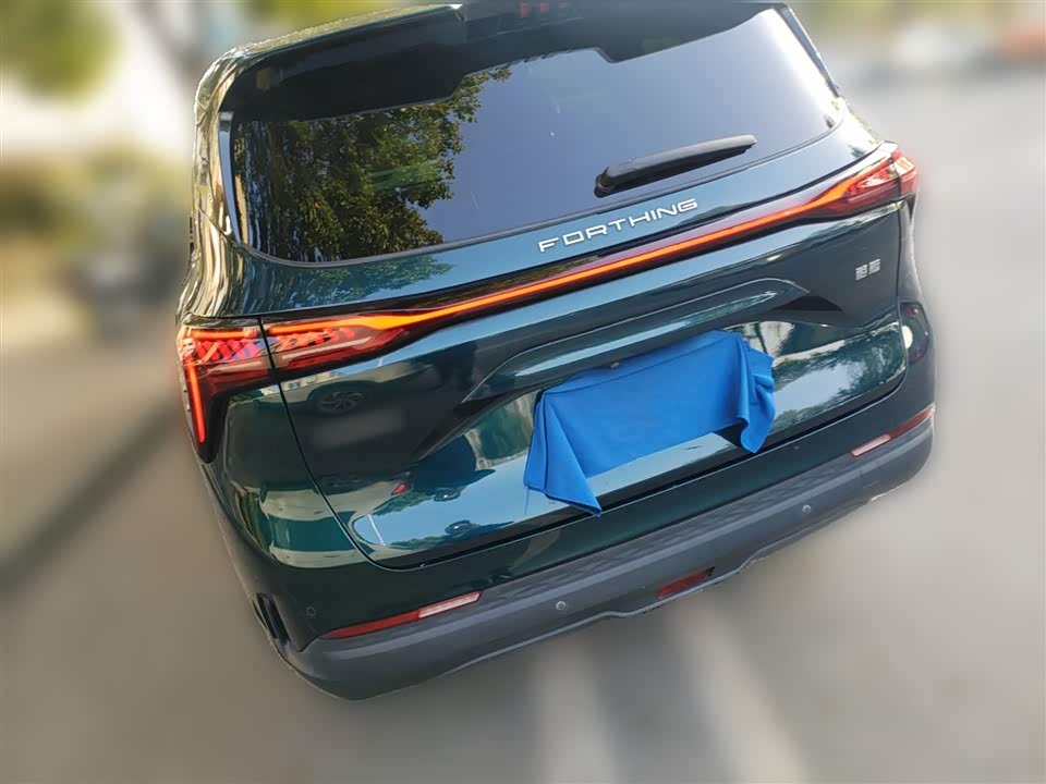 Forthing Popular yachts