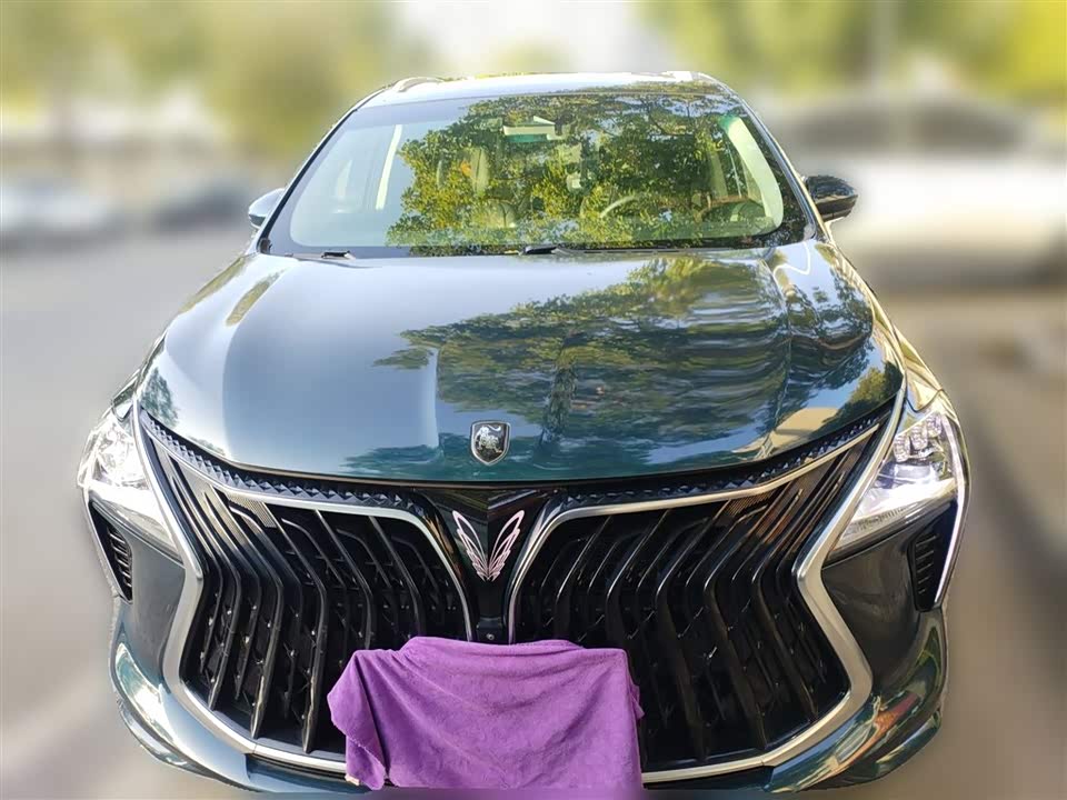 Forthing Popular yachts