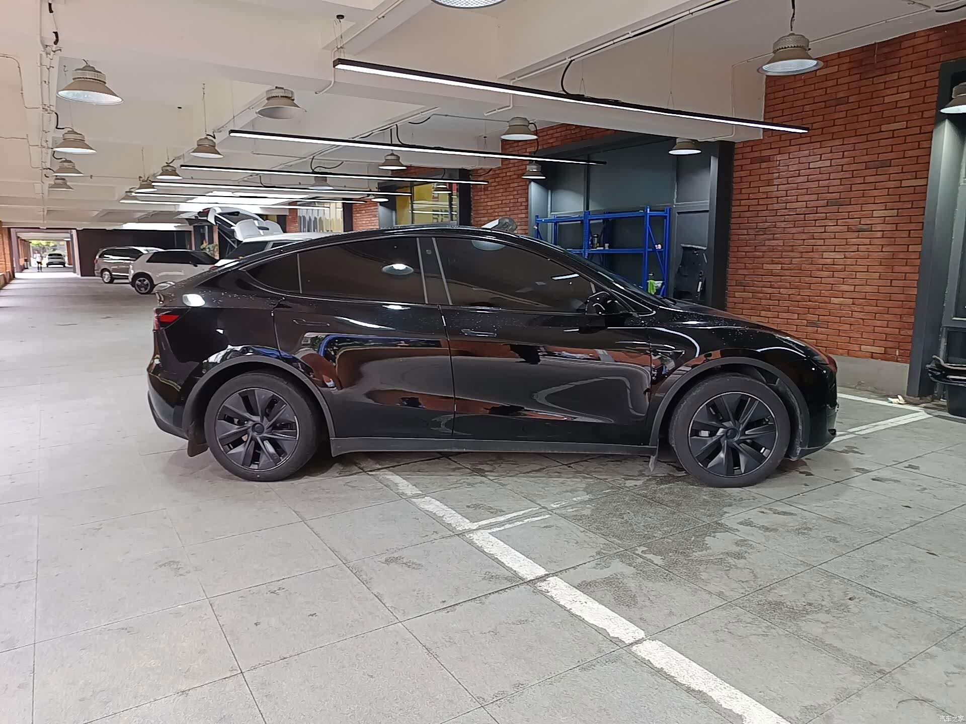 Tesla Model Y, 2024 все фото