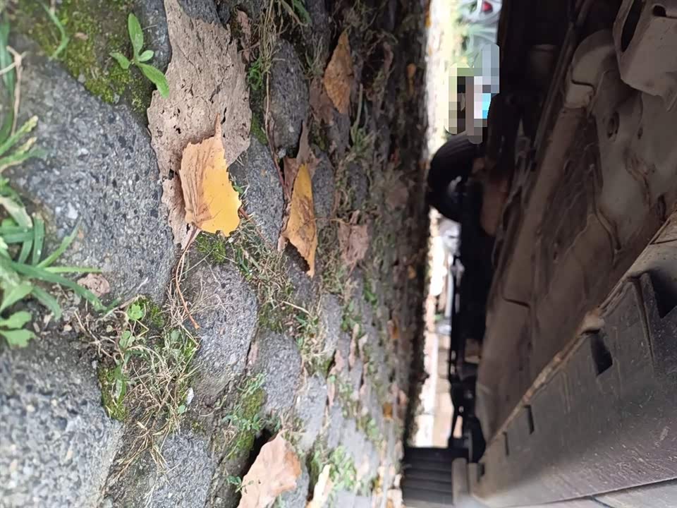 Trumpchi Trumpchi GS4