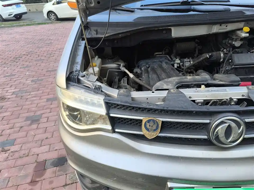 Dongfeng Handsome guest