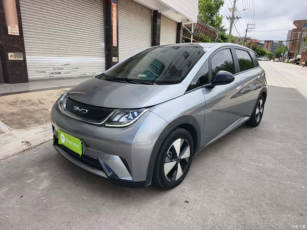 BYD Dolphin, 2023 1