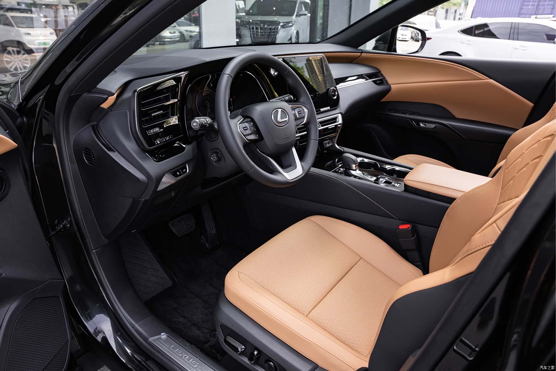 Lexus RX, 2023 9