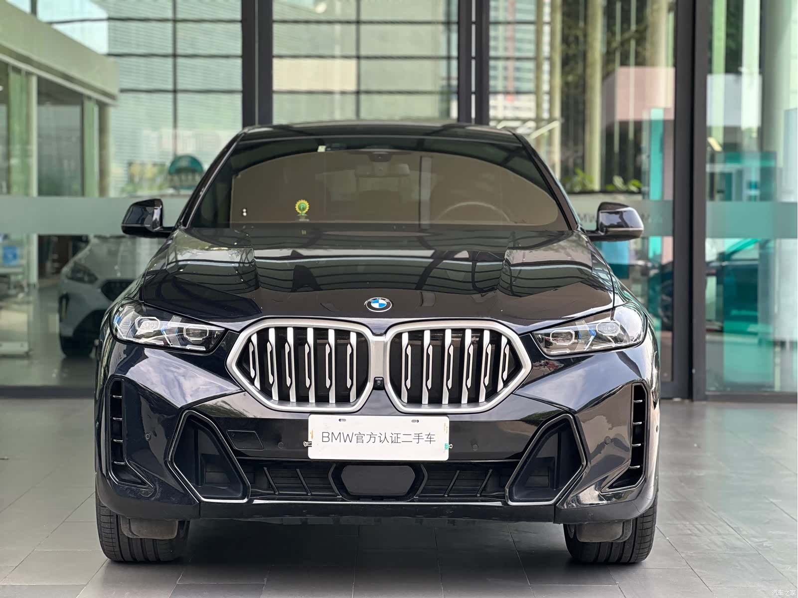BMW X6, 2024 1