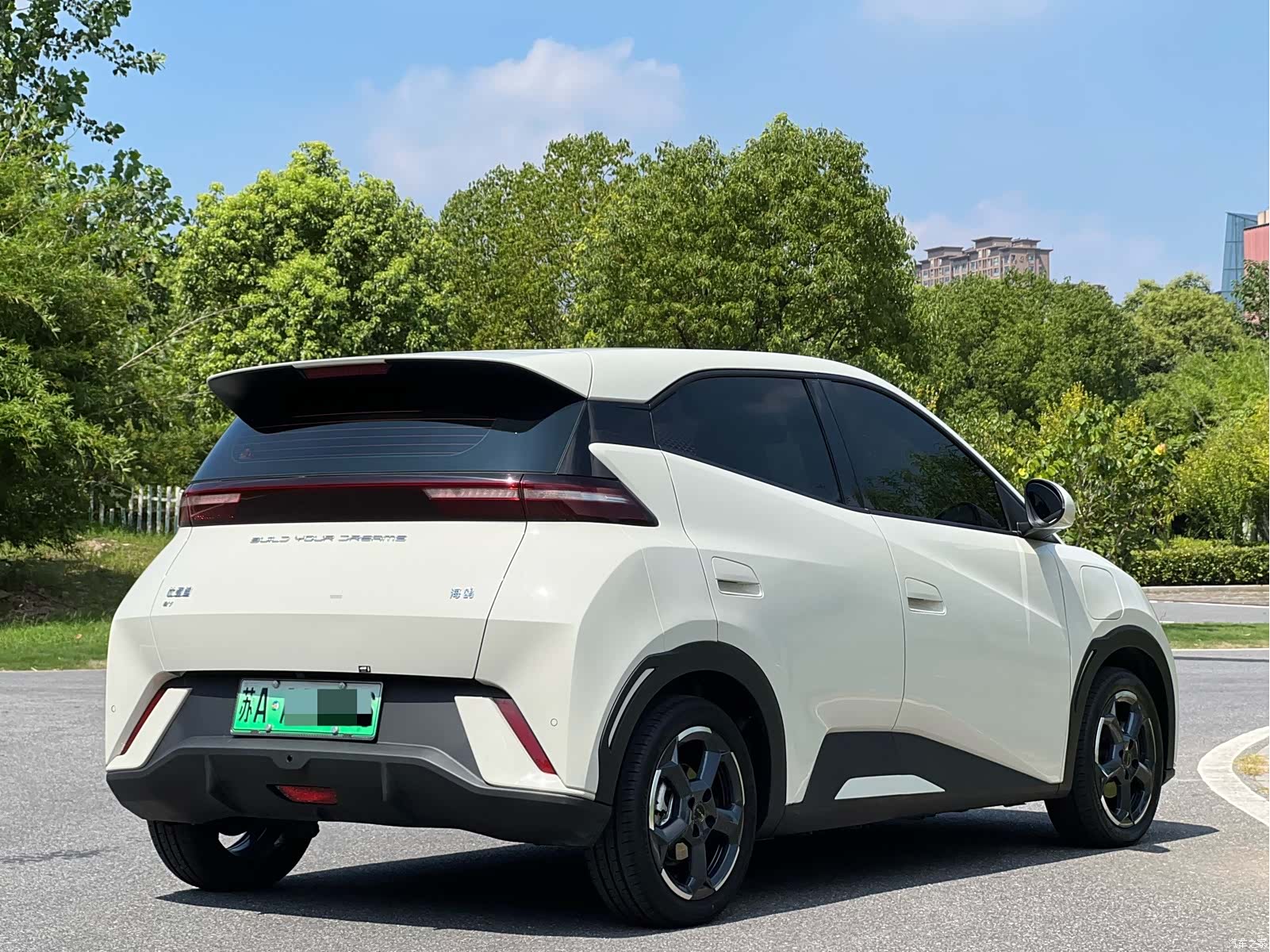 BYD Seagull, 2024 все фото