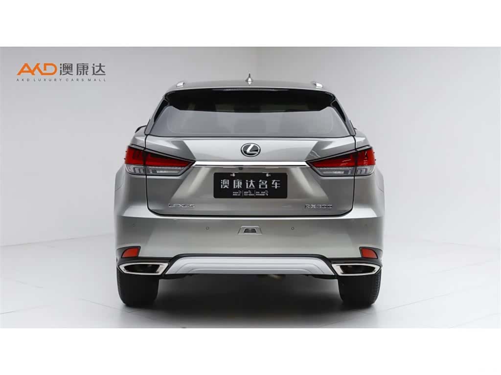 Lexus RX, 2020 4