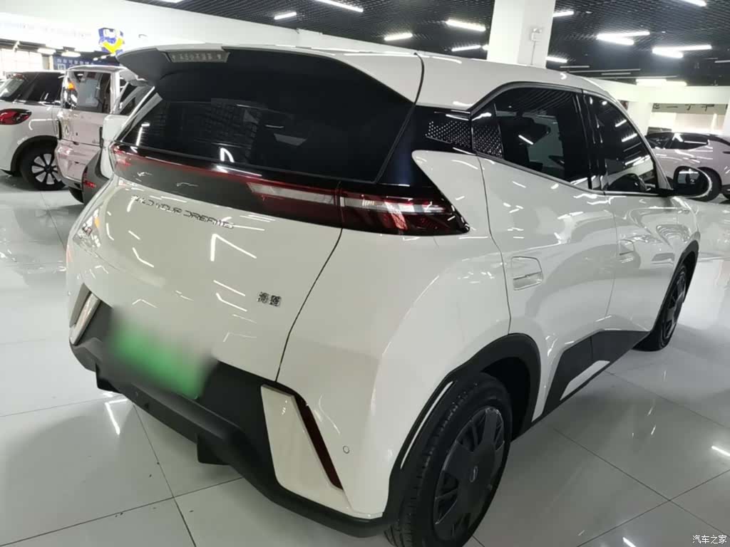 BYD Seagull, 2024 7