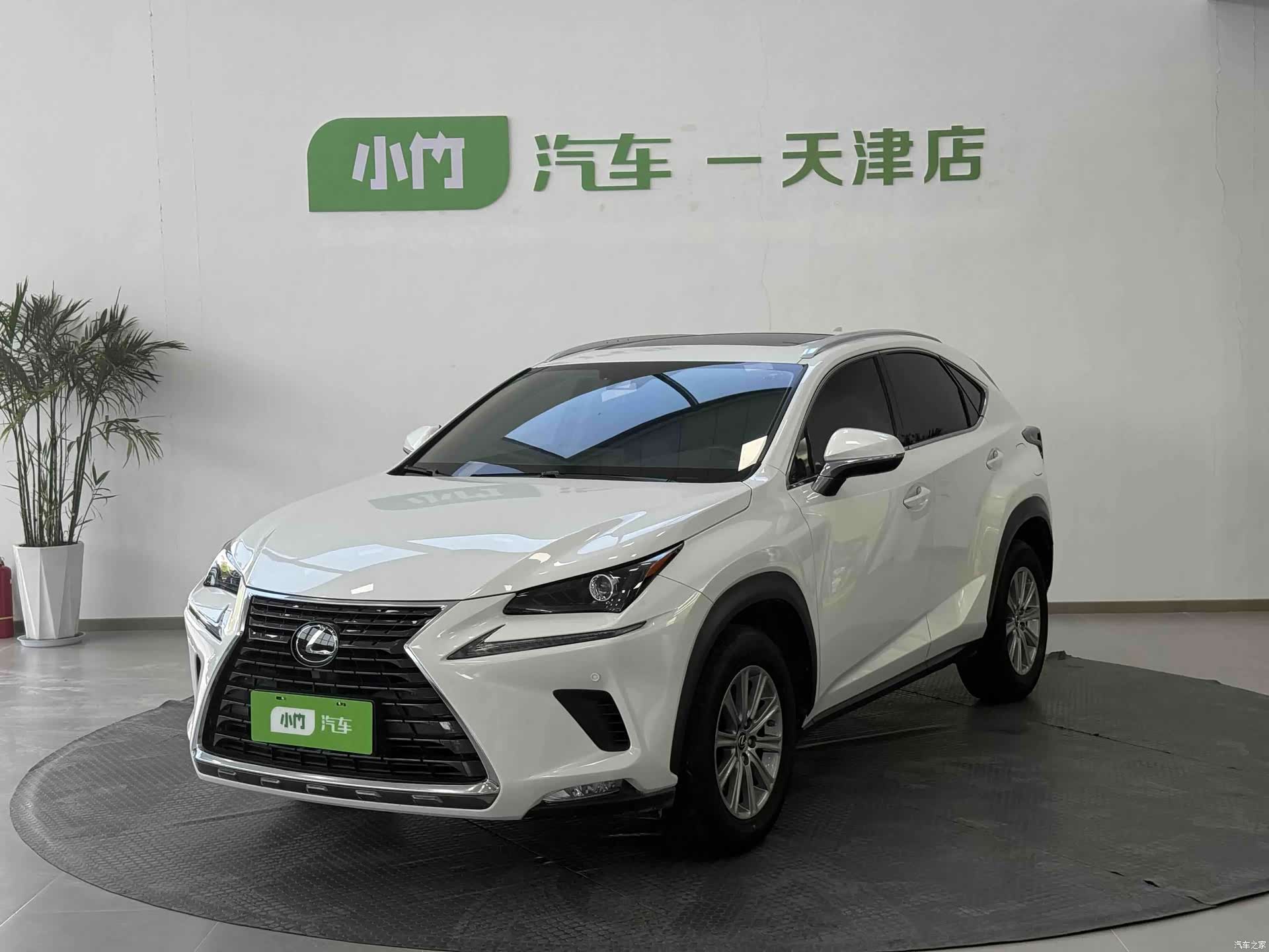 Lexus NX, 2021 1