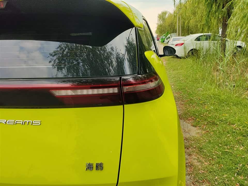 BYD Seagull BYD Seagull