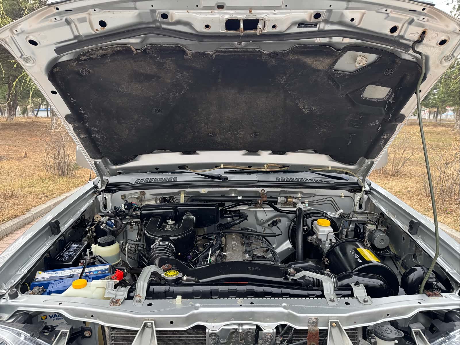 Nissan Paladin, 2015 все фото
