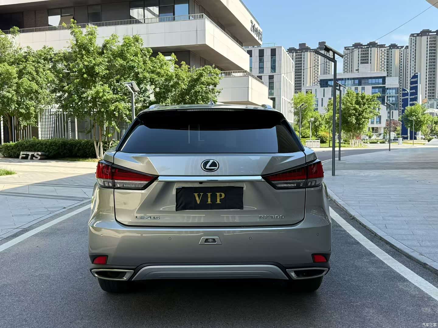 Lexus RX, 2023 9