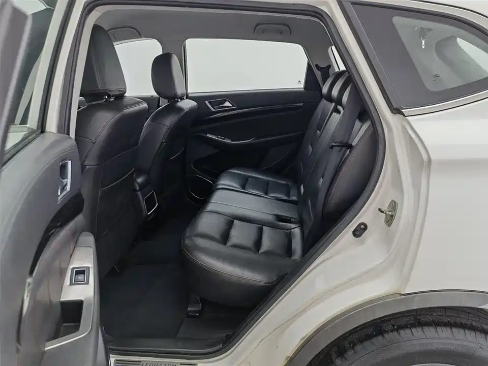 Leopaard Cheetah CS10