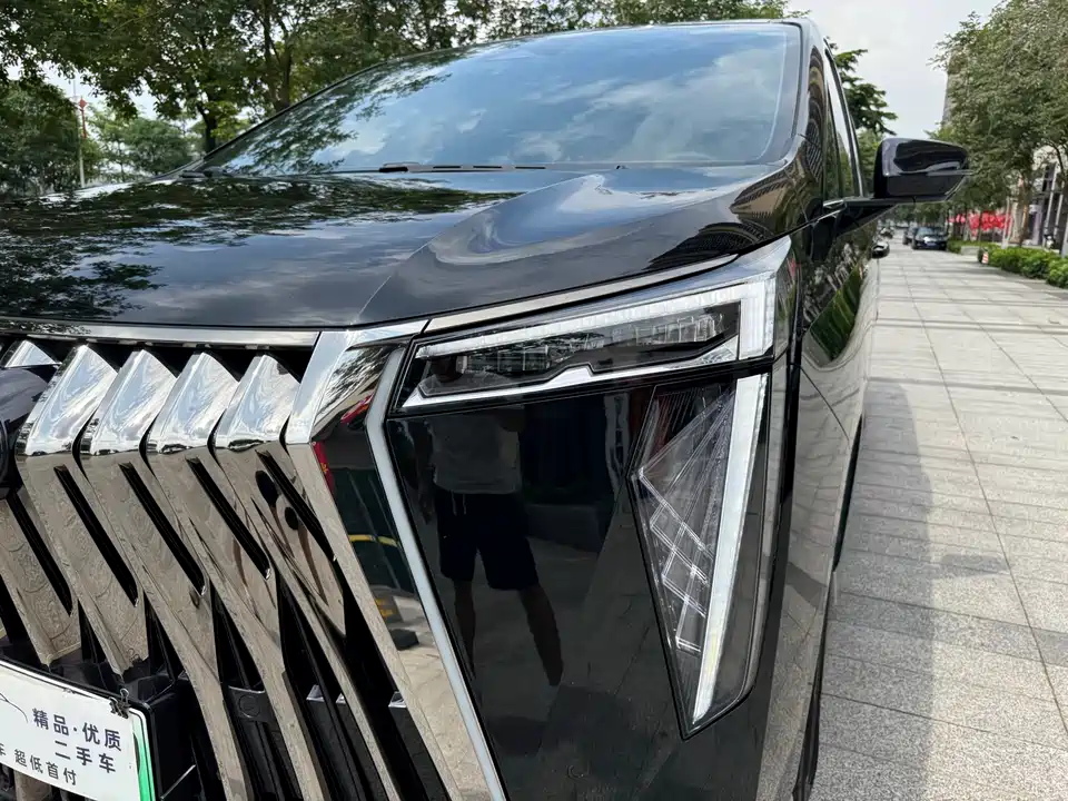 Trumpchi Trumpchi E9