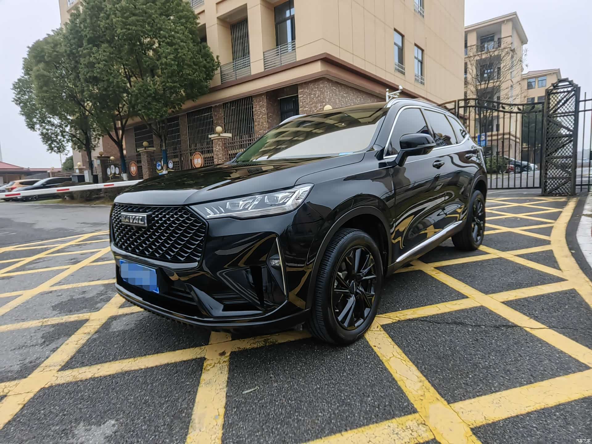 Haval H6, 2022 1