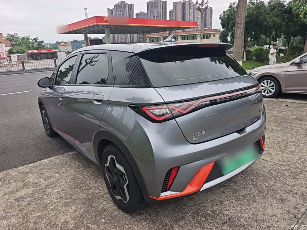 BYD Dolphin, 2022 все фото