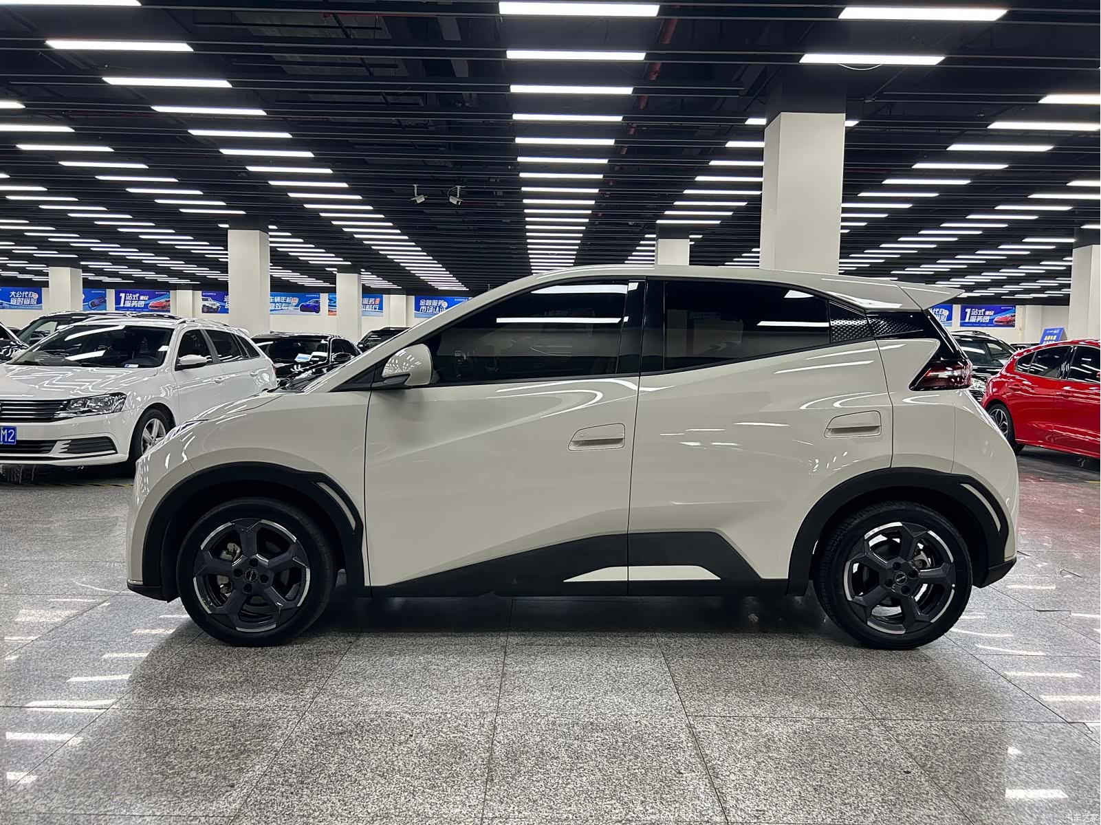 BYD Seagull, 2023 4
