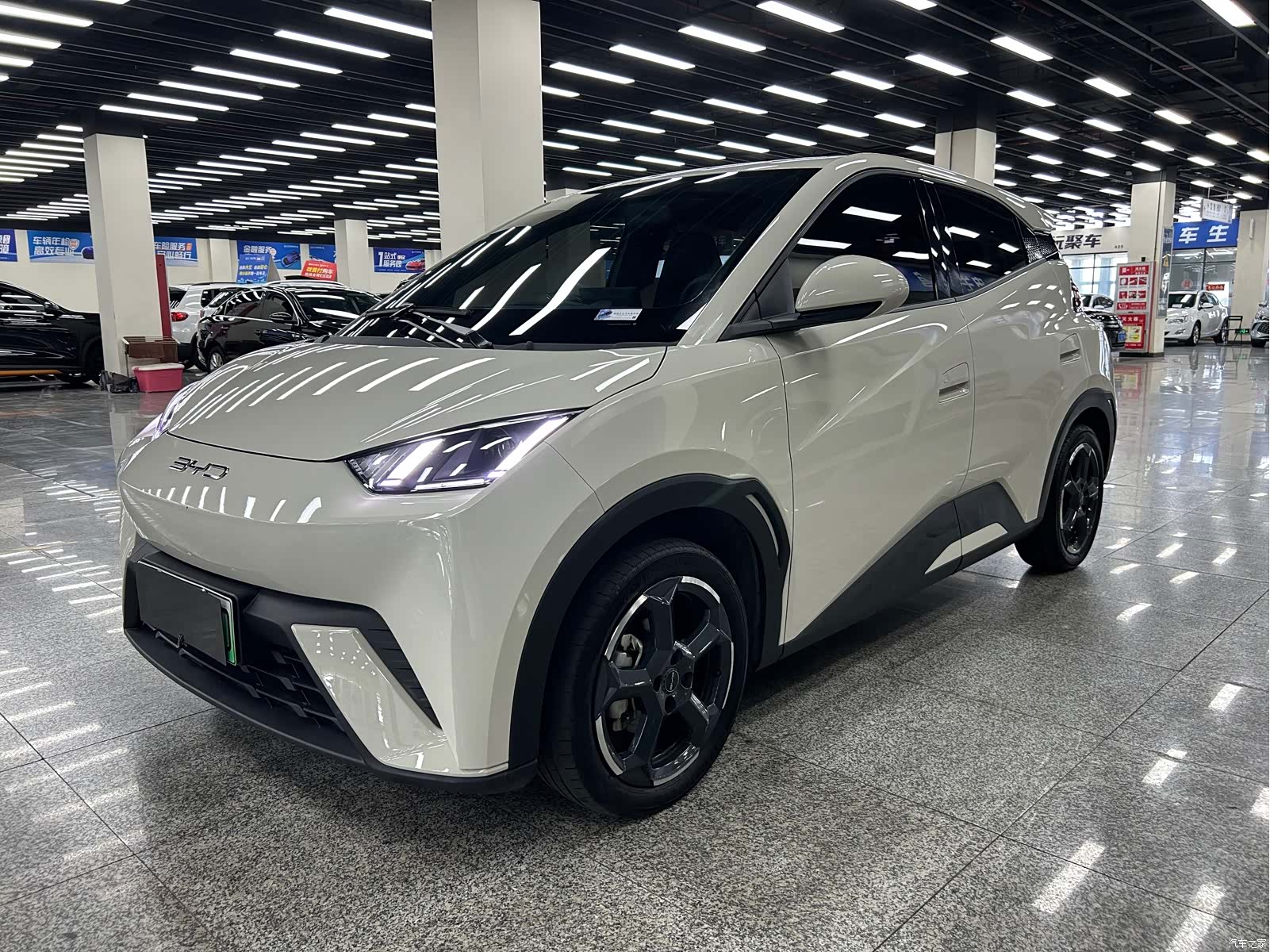 BYD Seagull, 2023 3