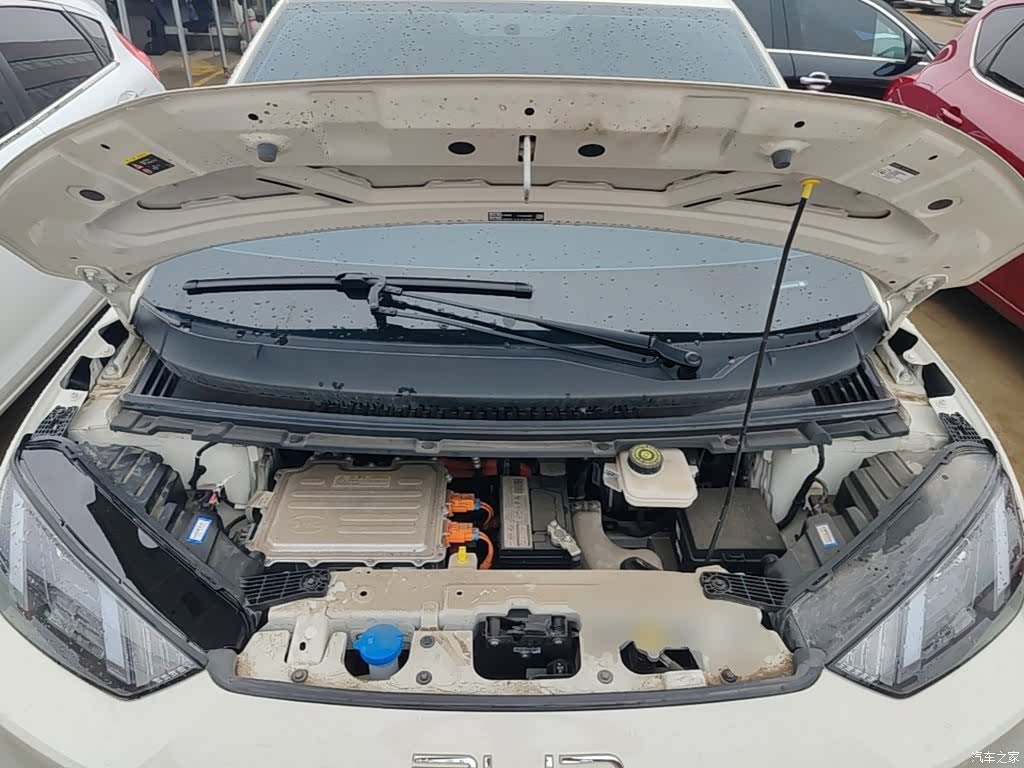 BYD Seagull, 2024 20