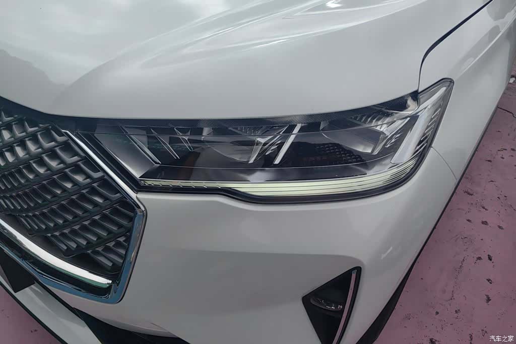Haval H6, 2023 все фото
