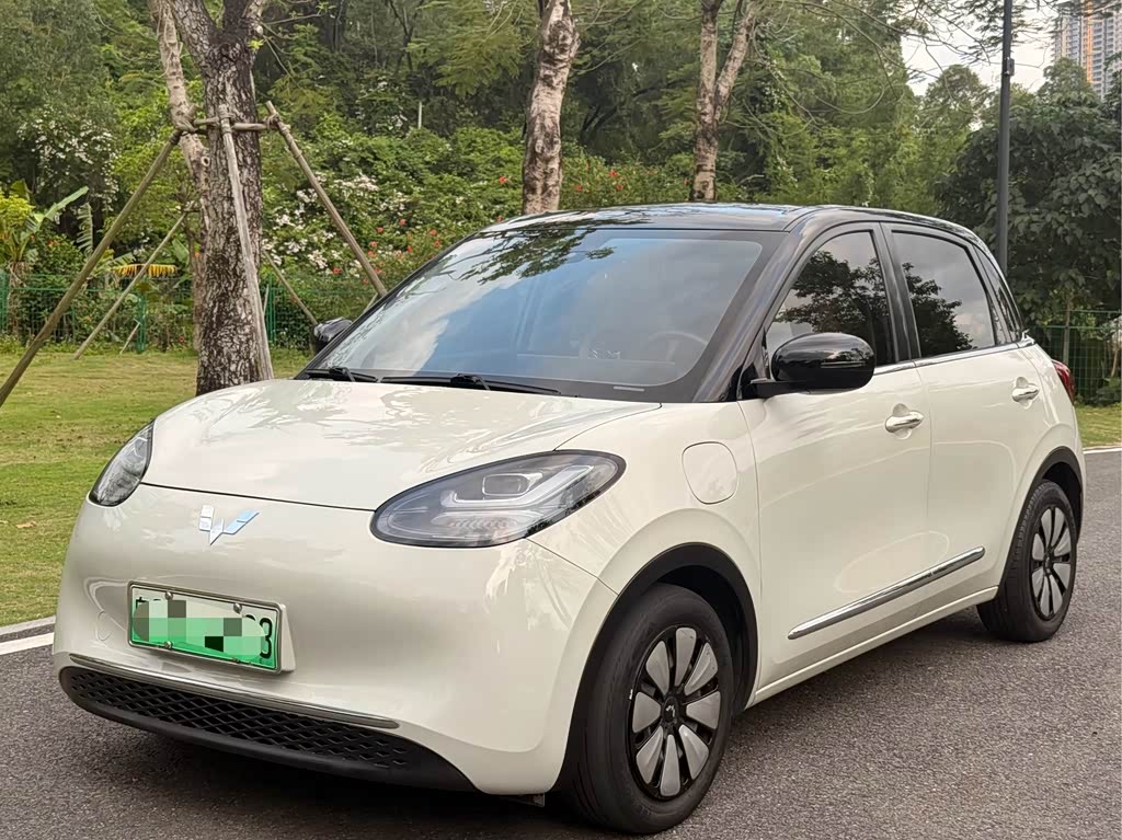Wuling Binguo