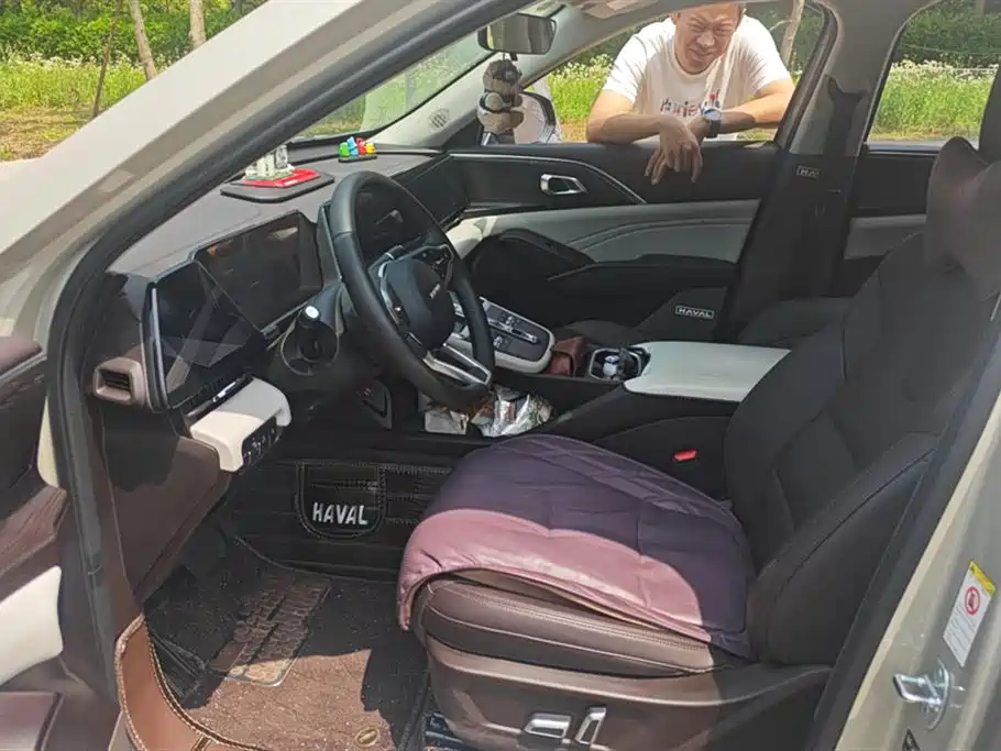 Haval Xiaolong MAX Haval Xiaolong MAX