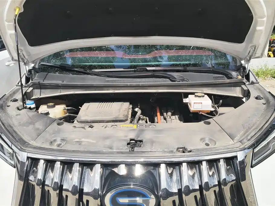 Trumpchi Trumpchi M8