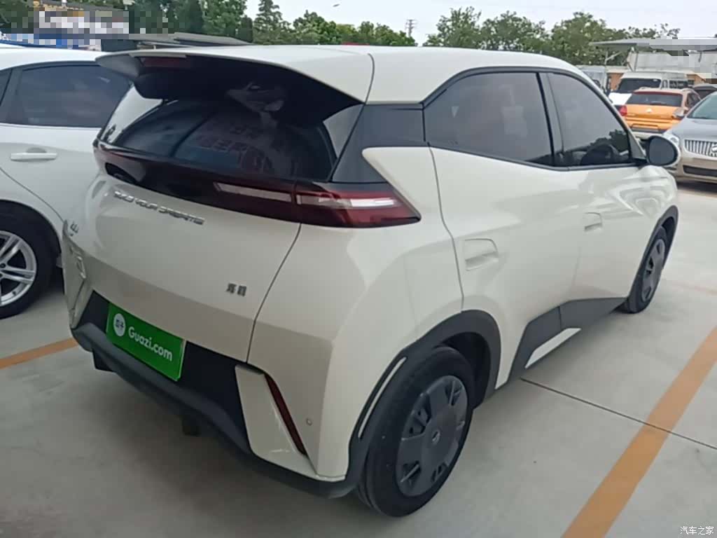 BYD Seagull, 2024 7