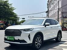 ����H6 2021�� ������ 1.5T �Զ�����Max