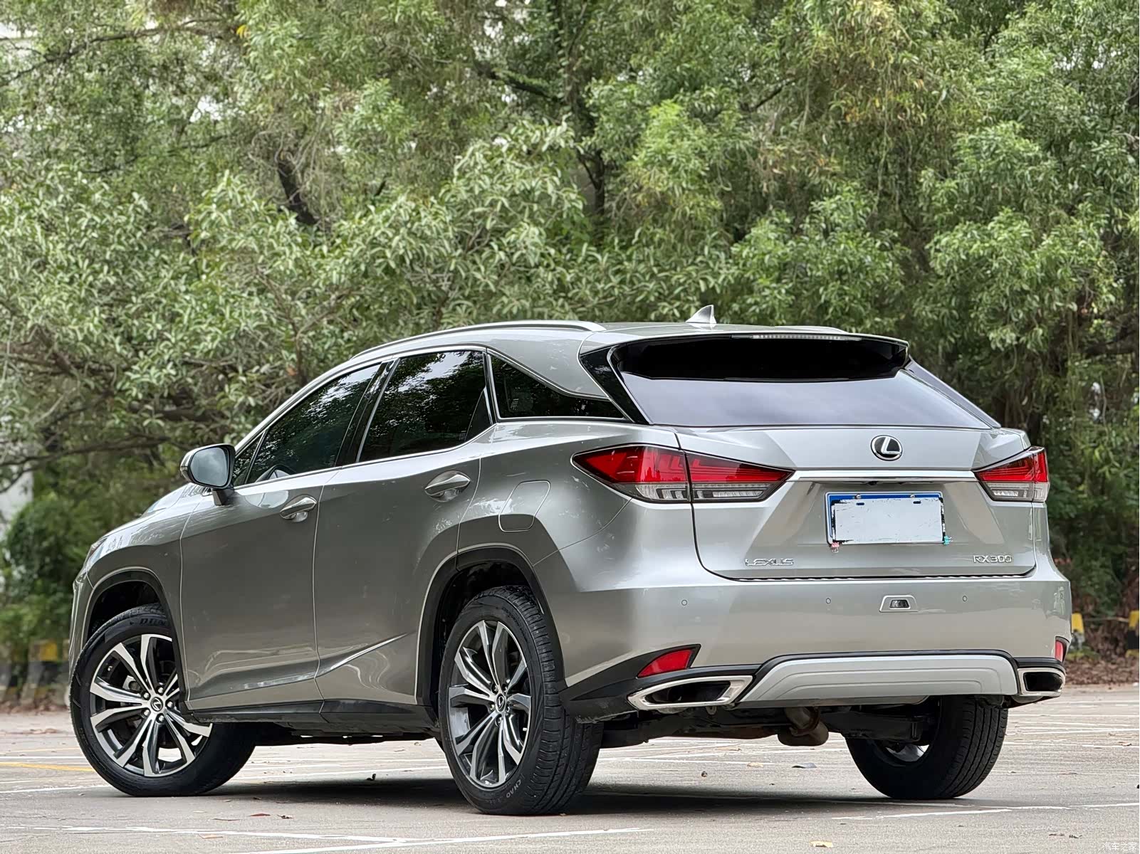 Lexus RX, 2020 17