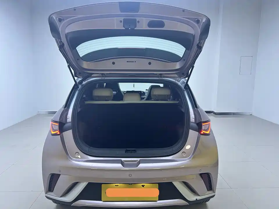 BYD dolphin BYD dolphin