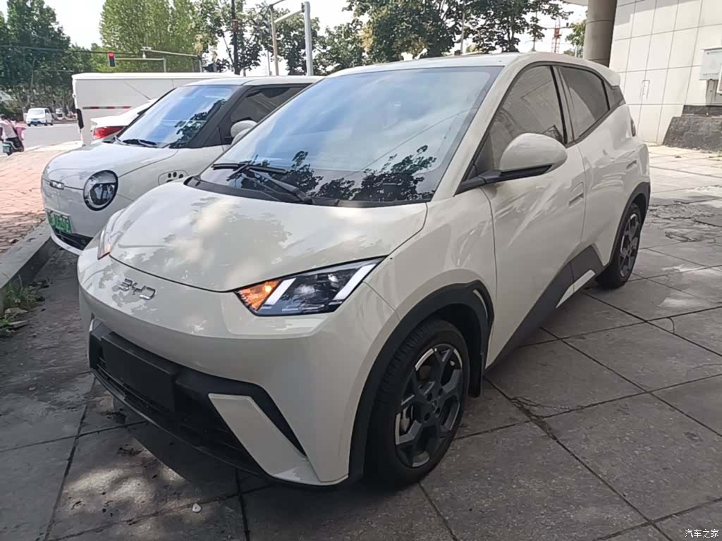 BYD Seagull, 2025 2