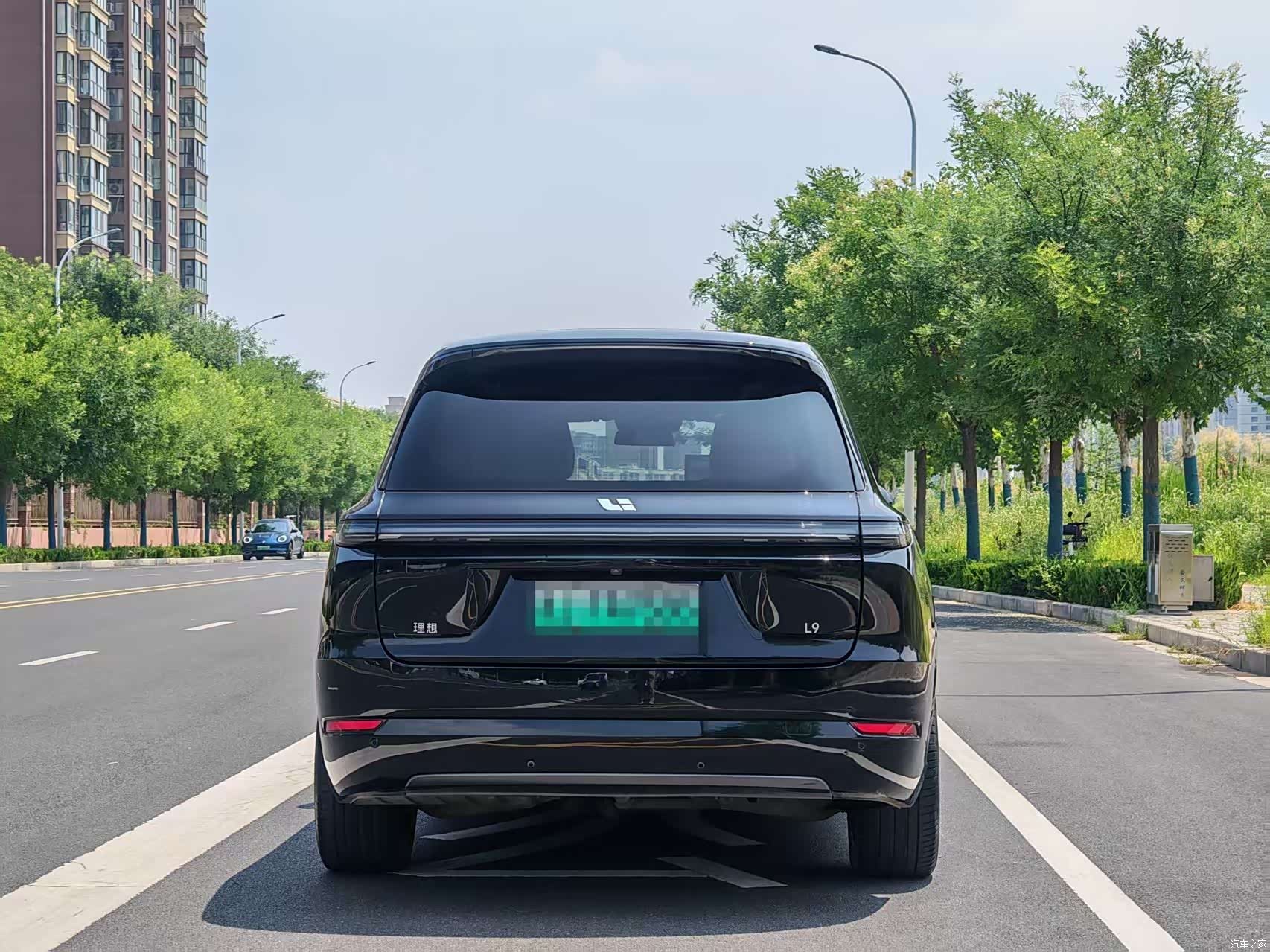 Li Auto L9, 2022 19