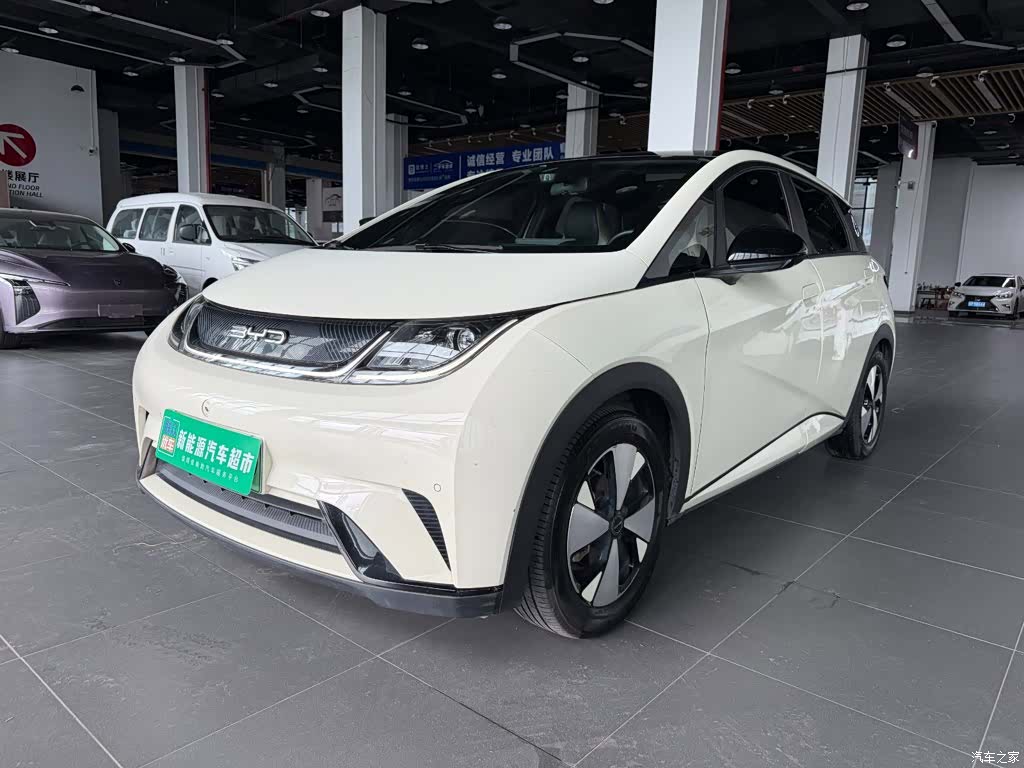 BYD Dolphin, 2023 1
