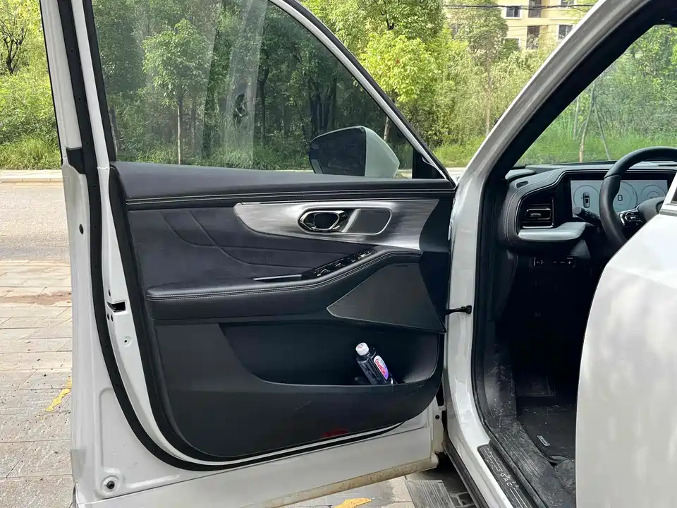 Trumpchi Trumpchi ES9