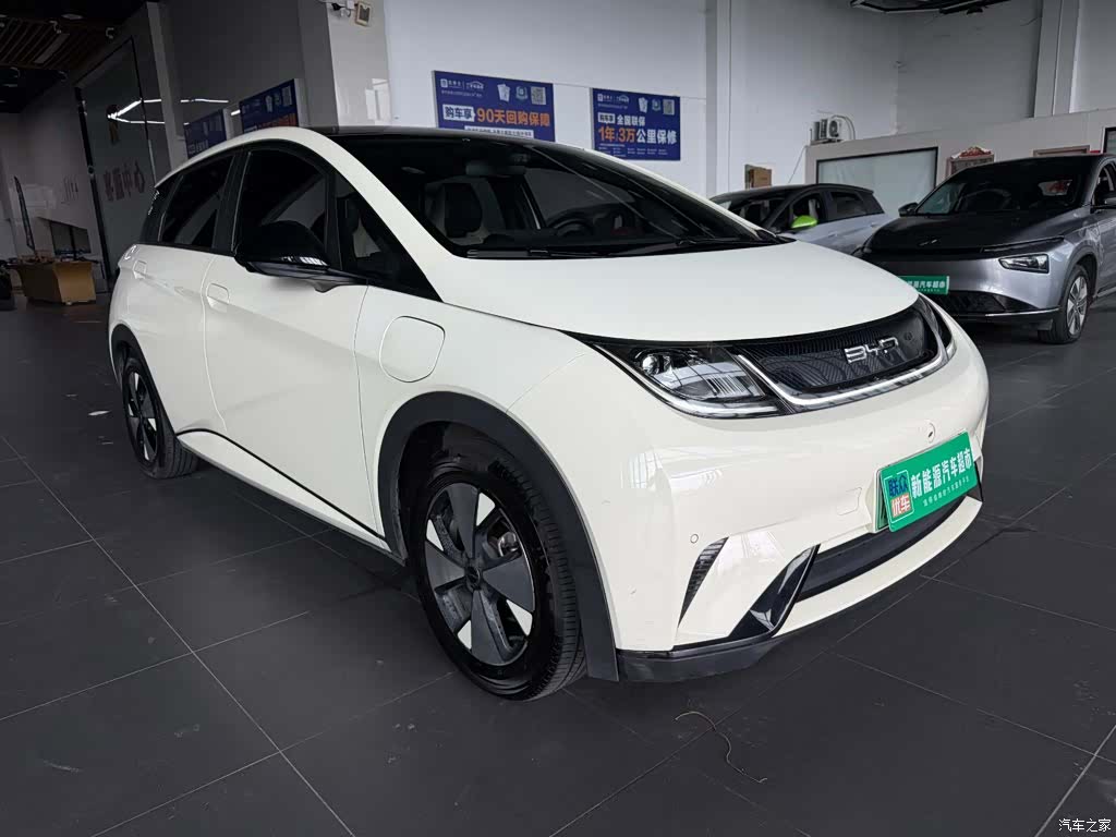 BYD Dolphin, 2023 8