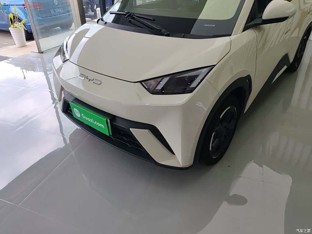 BYD Seagull, 2024 24