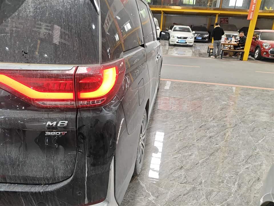 Trumpchi Trumpchi M8