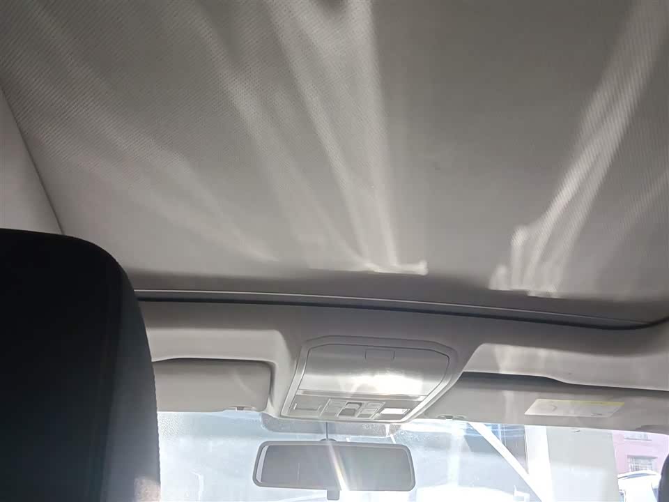 Volkswagen C-TREK Wei Collar